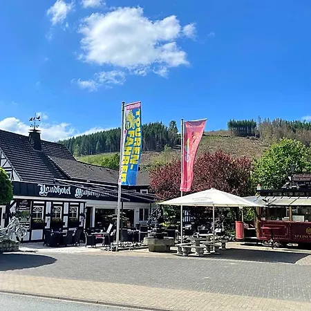 Land-hotel Muehlengrund 3* Winterberg