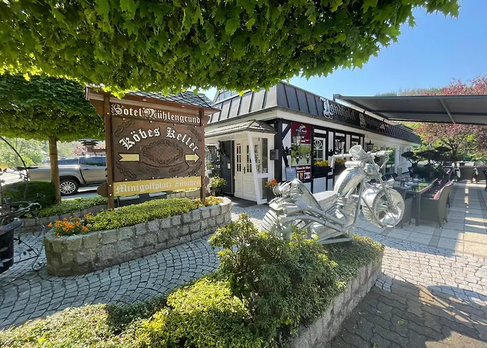Hotel Land-hotel Mühlengrund